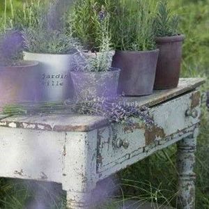 Meet your Posher, Kay